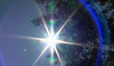 Heat-related deaths: 3 in NYC, 29 in NJ last week
