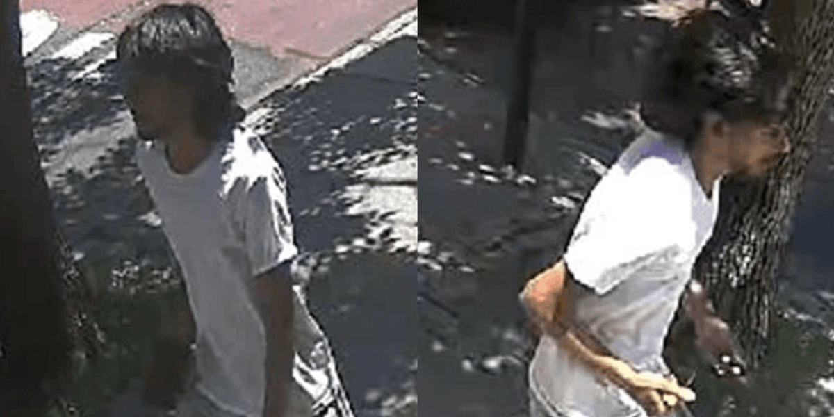 Man, 89, thrown to ground and robbed in broad daylight in Queens