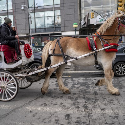 Opinion: It’s time to say ‘neigh’ to a dangerous anachronism