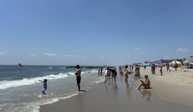 Shark scares surge at NYC beaches, sidelining swimmers on sizzling sand
