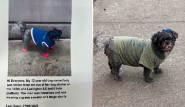 Harlem family desperate to find dog who was stolen inside of a Harlem subway station