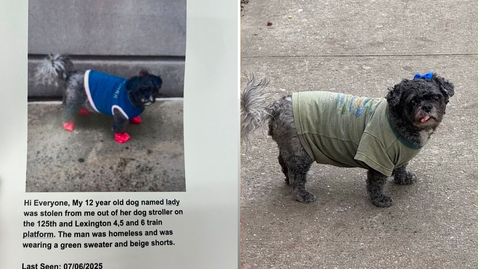 Harlem family desperate to find dog who was stolen inside of a Harlem subway station