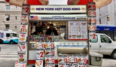The New York Hot Dog King Is Giving Away 500 Free Hot Dogs in Front of the Met in NYC