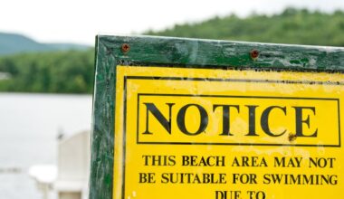 Over a dozen NYC beaches under swimming advisory due to high bacteria levels