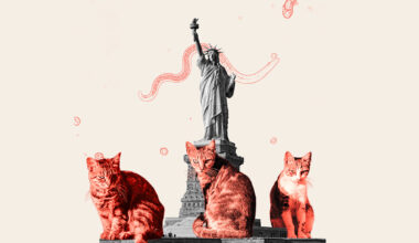 NYC Stray Cats Found Carrying Parasites Linked to Serious Human Illness