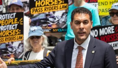 Legislation to ban horse carriages nears majority support