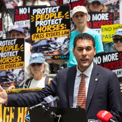 Legislation to ban horse carriages nears majority support