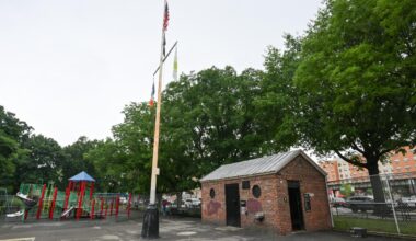Parks and Rec supervisor allegedly dropped pants, masturbated