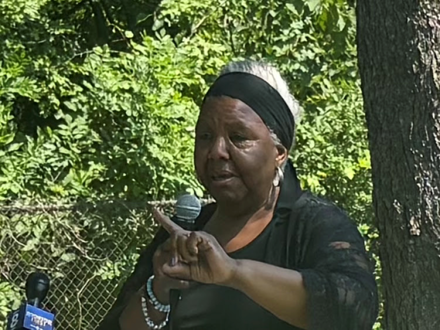 Pamela Reese Smith speaks at the Abolition Commemoration Day ceremony on Saturday, July 11, 2026. Smith is president of Rochester's chapter of the Association for the Study of African American Life and History.