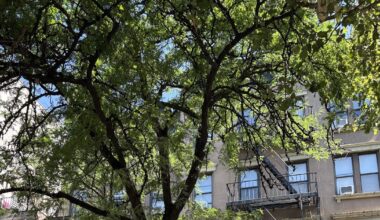 EV Grieve: On tonight's CB3-SLA docket: Applicants for 13 E. 1st St., 41 St. Mark's Place, and more!