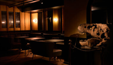 Inside Bushwick's New Natural History Museum Bar