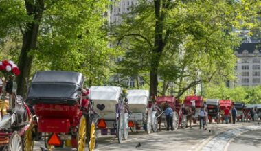 A brief history of New York City’s neverending horse carriage controversy
