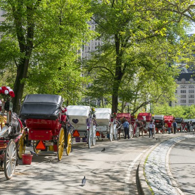 A brief history of New York City’s neverending horse carriage controversy
