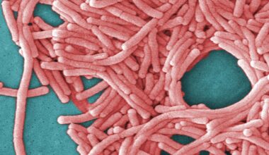 Legionnaires' disease outbreak in NYC prompts cleaning of cooling towers