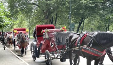 Opinion: It's time to end horse-drawn carriages in New York City