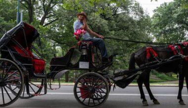 Opinion: NYC’s proposed horse-carriage ban is driven by emotion and propaganda