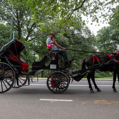 Opinion: NYC’s proposed horse-carriage ban is driven by emotion and propaganda