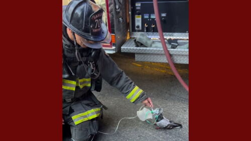 Bill FR1 EMS1 news images - 2026-07-16T075905.797.jpg