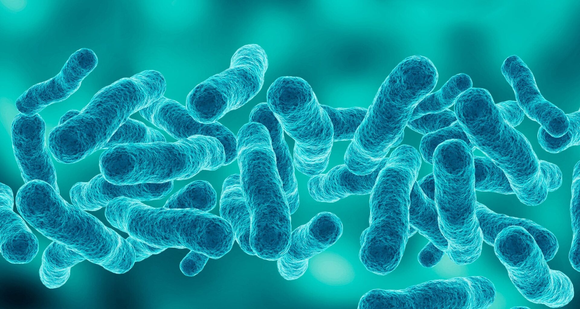 Legionnaires' disease kills one in Manhattan's Upper East Side outbreak