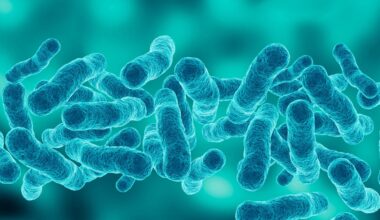 Legionnaires' disease kills one in Manhattan's Upper East Side outbreak