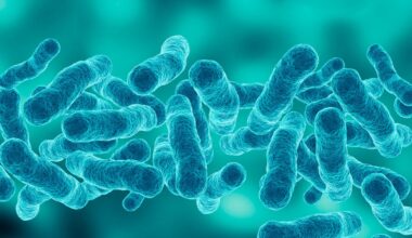 Second person dies in Manhattan Legionnaires' cluster