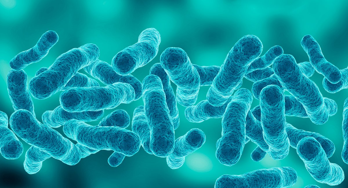 Second person dies in Manhattan Legionnaires' cluster