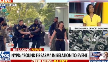 Mamdani called out for rhetoric after suspect sets off incendiary device in NYC
