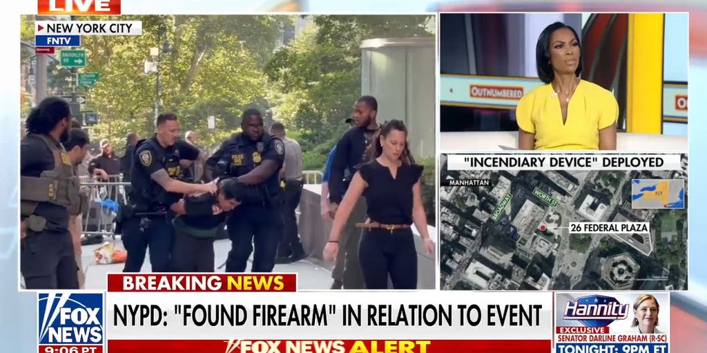 Mamdani called out for rhetoric after suspect sets off incendiary device in NYC