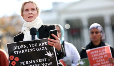 Cynthia Nixon named to New York court nomination panel, drawing mockery