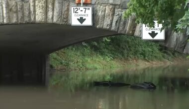 Westchester County storms: Bronx River Parkway submerges cars during flash flooding in Bronxville