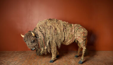 50 Life-Sized Buffalo Will March Lower Manhattan This September