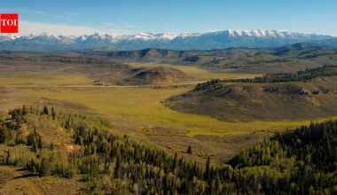 Bigger than Manhattan: Historic 88,000-acre Texas ranch sells for $127.7 million