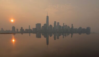 Will climate change make plague-filled NYC summers like this one the new norm?