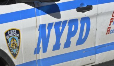 1-year-old baby boy bitten in the Bronx