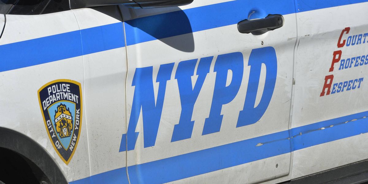 1-year-old baby boy bitten in the Bronx