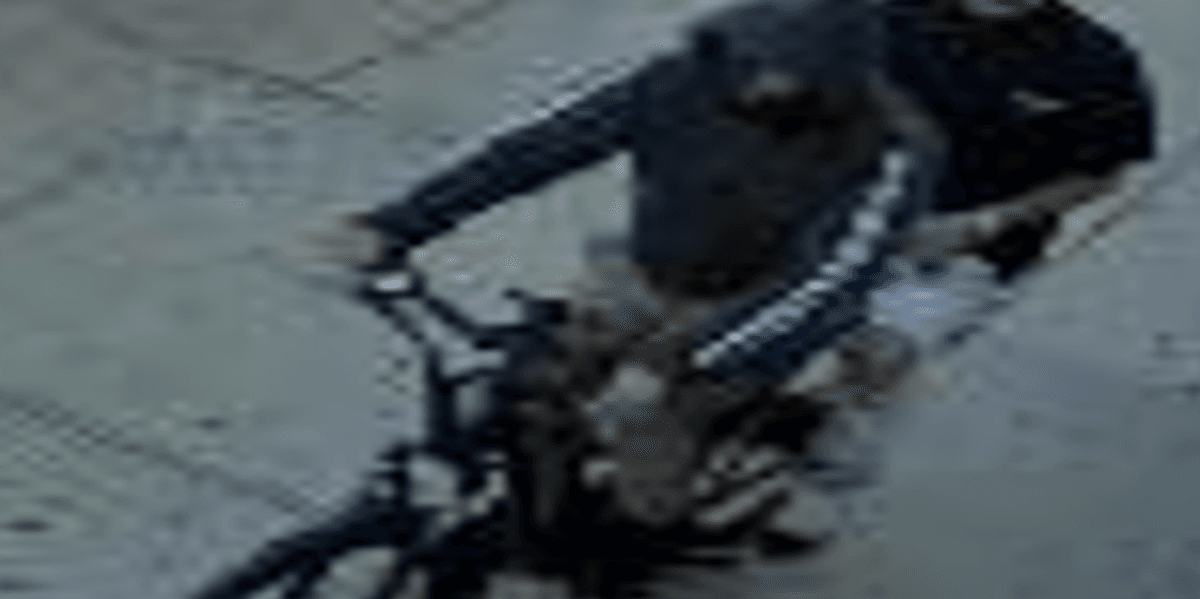 Duo on e-bike wanted for snatching necklace off girl, 17, in Queens robbery
