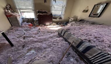bronx tenants repairs