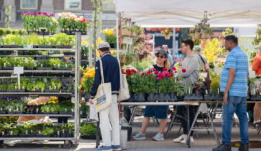 Union Square Greenmarket 50th Anniversary Celebration