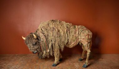 Herd of life-size buffalo puppets will make symbolic journey through Brooklyn this fall • Brooklyn Paper
