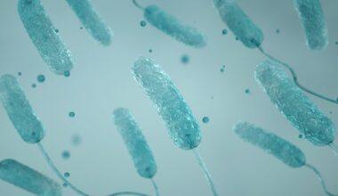 7th person dies in Upper East Side Legionnaires' outbreak as NYC reports 92 cases