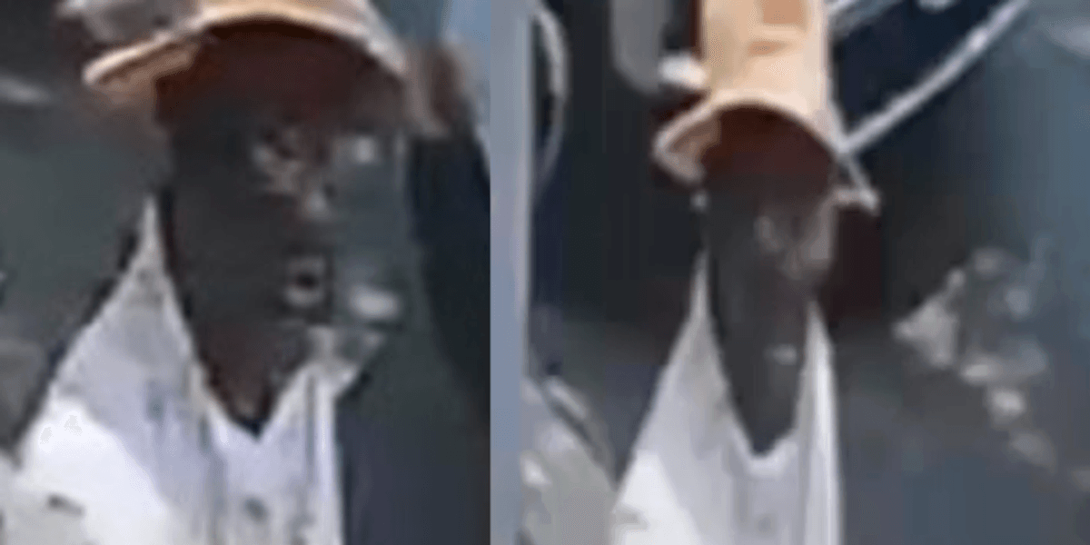 Suspect punches man, 69, throws his phone on the ground in the Bronx: NYPD