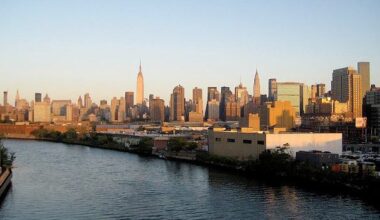 Group of rays spotted swimming in heavily polluted Newtown Creek