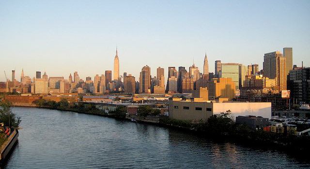 Group of rays spotted swimming in heavily polluted Newtown Creek