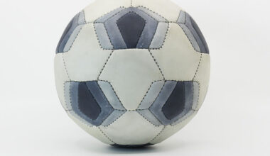 A Mathematical Tribute to the Soccer Ball