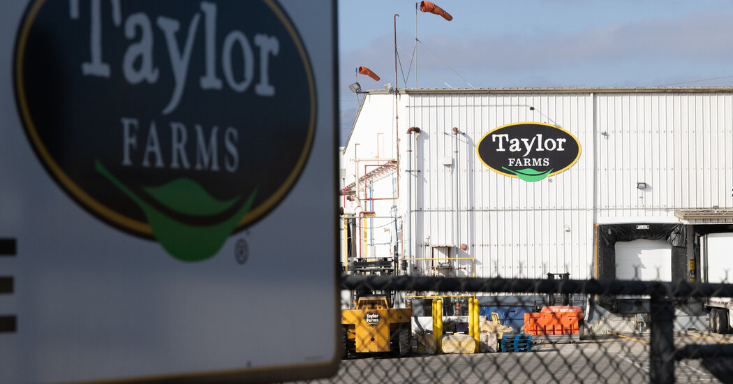Taylor Farms Expands Iceberg Lettuce Recall to 27 States Amid Cyclospora Outbreak