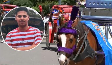Memorial set for teen killed in horse-drawn carriage accident in Central Park