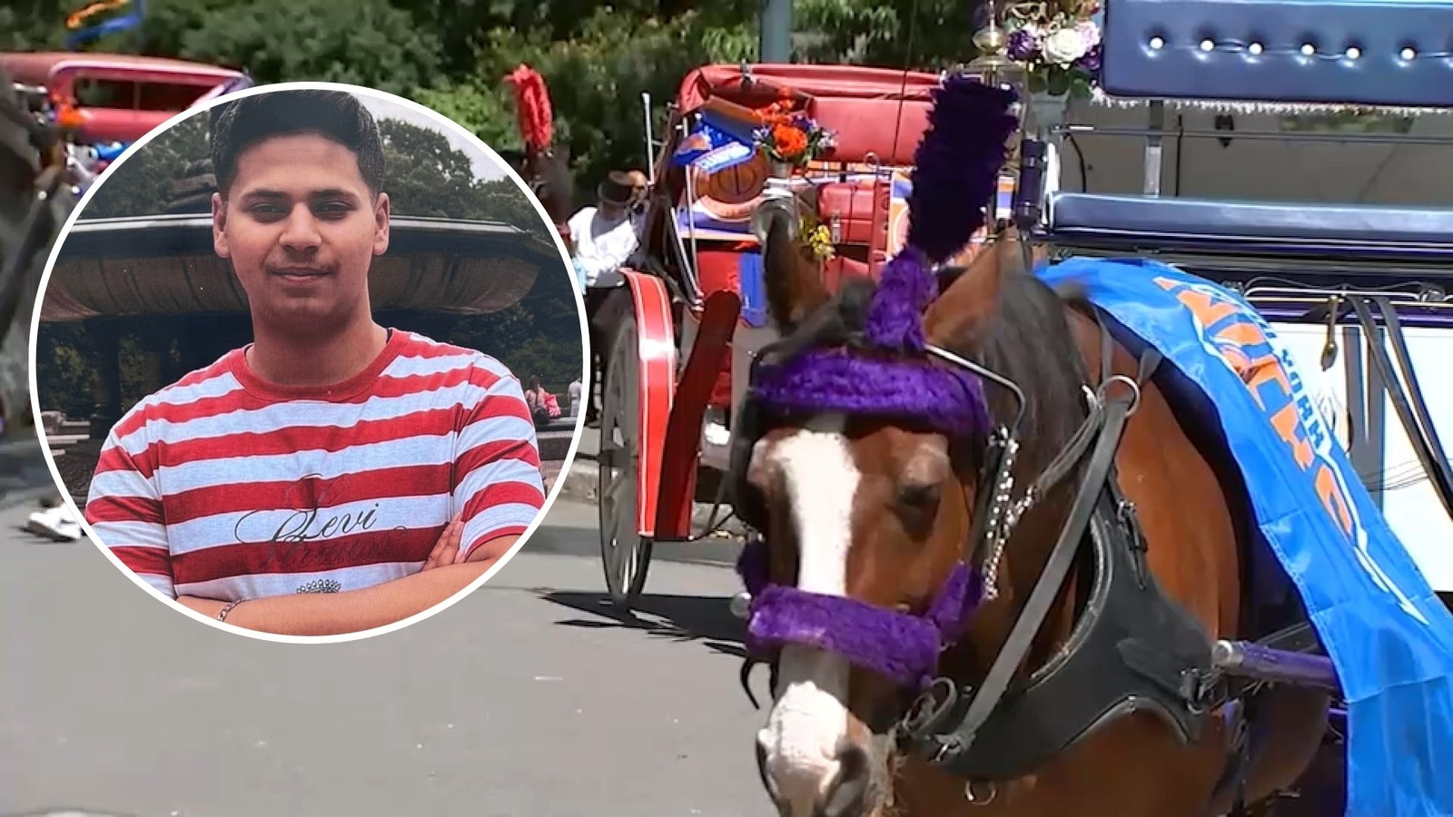 Memorial set for teen killed in horse-drawn carriage accident in Central Park
