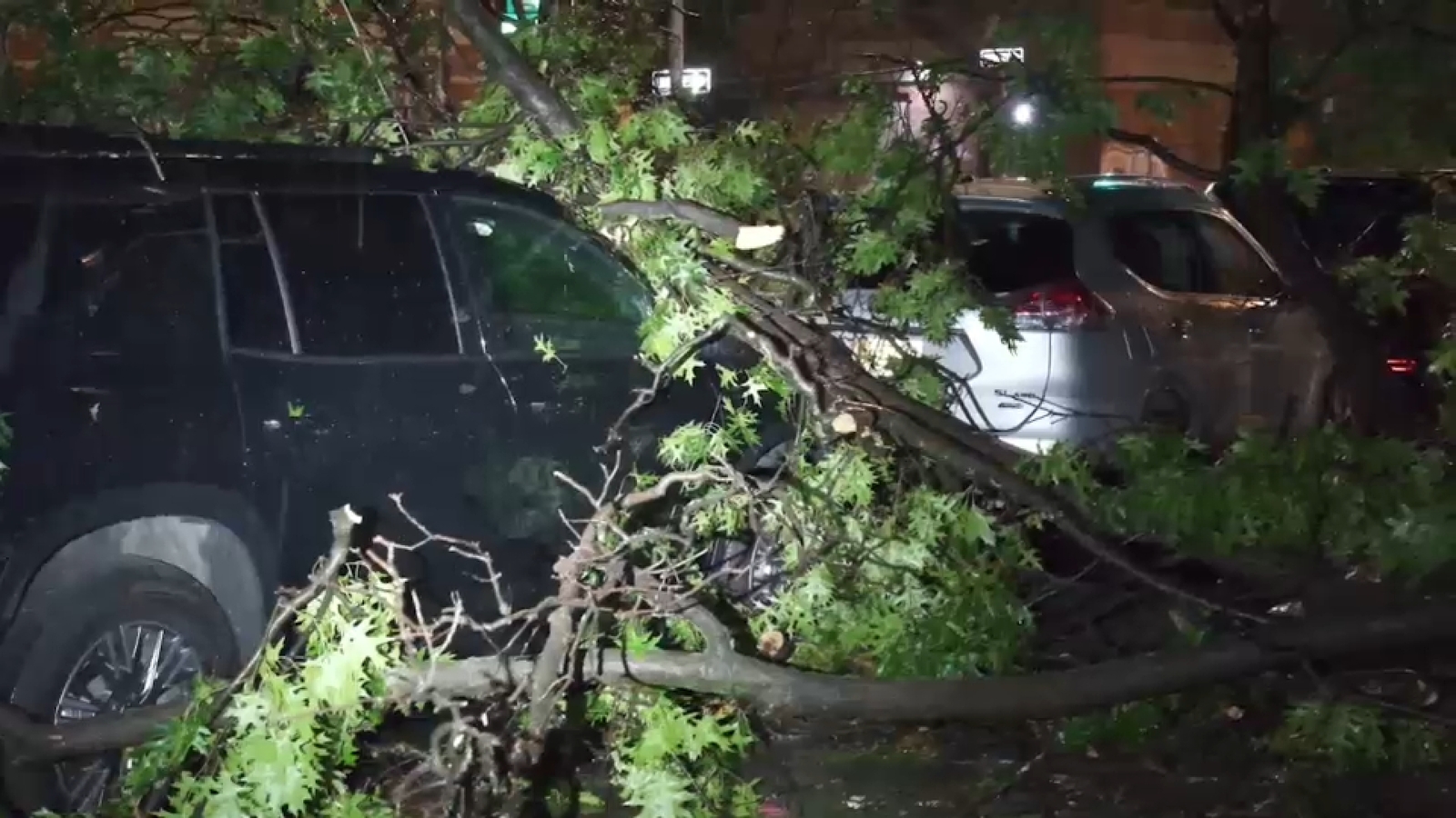 Mayor Zohran Mamdani urges New York City residents to prepare for flooding