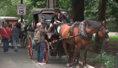 Bill to ban horse-drawn carriages in NYC to be presented Wednesday at council hearing