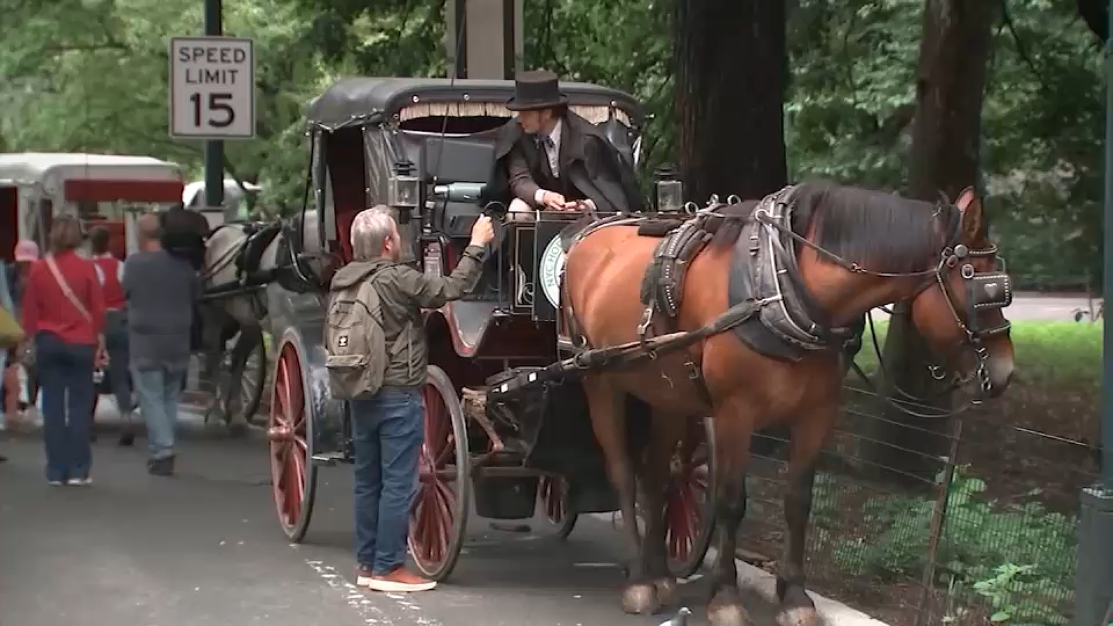 Bill to ban horse-drawn carriages in NYC to be presented Wednesday at council hearing